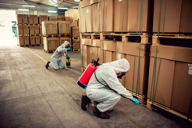 Reliable Glenview, IL Pest Control Solutions