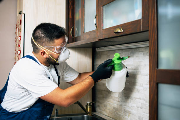 Best Affordable Pest Control Services  in Glenview, IL
