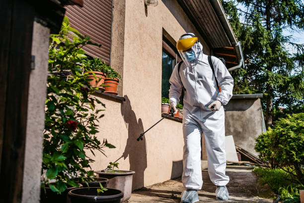 Best Local Pest Control Services  in Glenview, IL