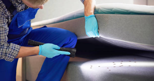 Professional Pest Control in Glenview, IL