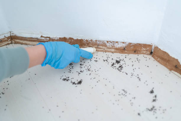 Best Best Pest Control Companies  in Glenview, IL